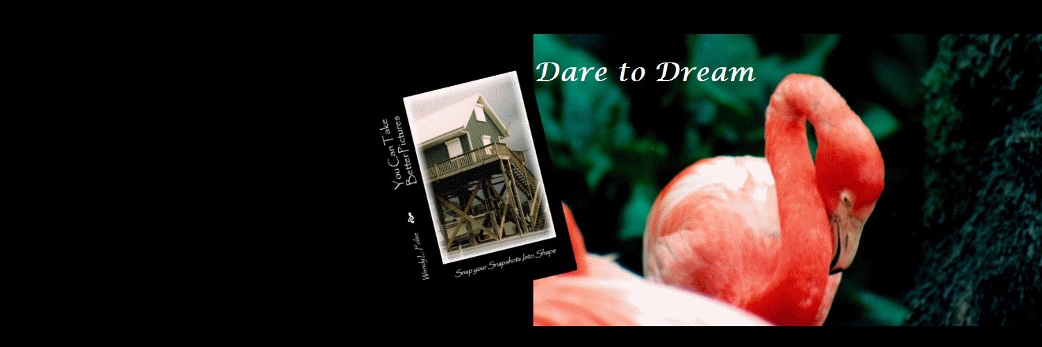 Wendy Folse banner