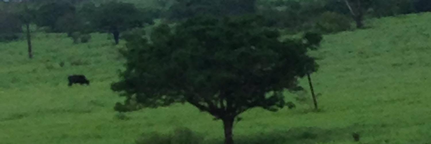 Alexandra_AGO's profile banner image