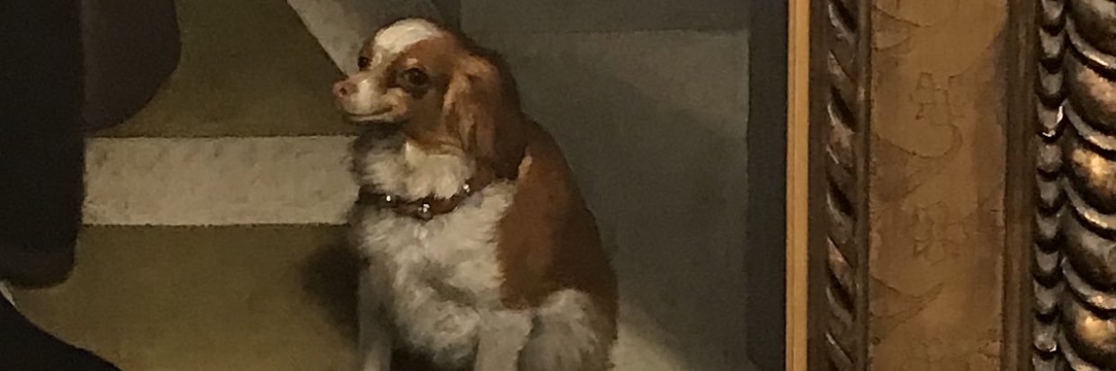 audreythefox's profile banner image