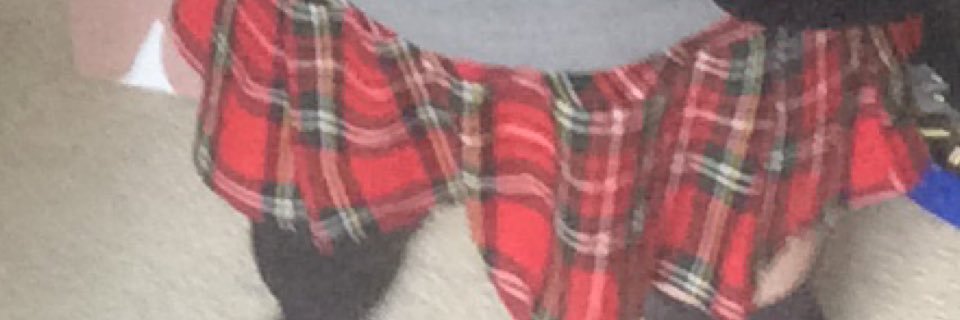 schoolsub74's profile banner image