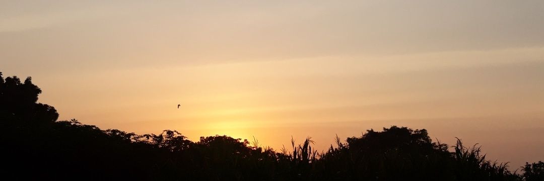 sshintap's profile banner image