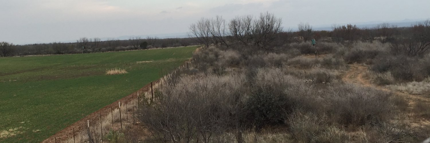 TurnToPage5's profile banner image