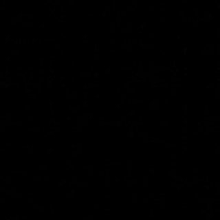 bee_binarti's profile banner image