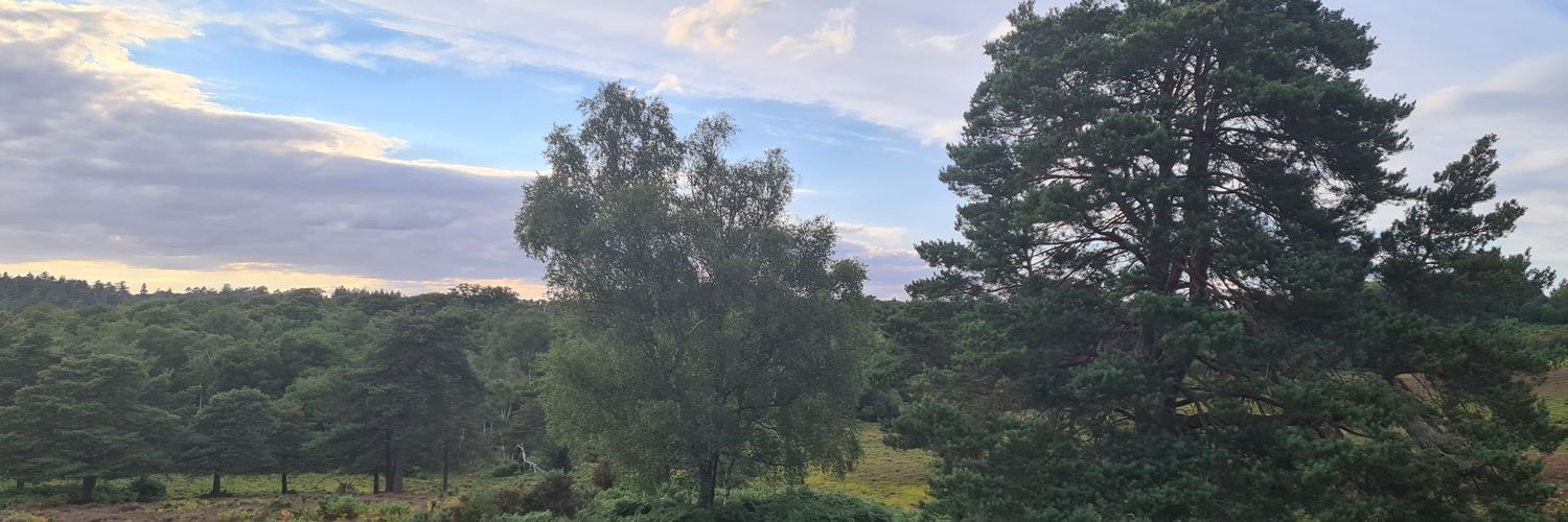 🦆Lady Quacky-Duck🦆 banner