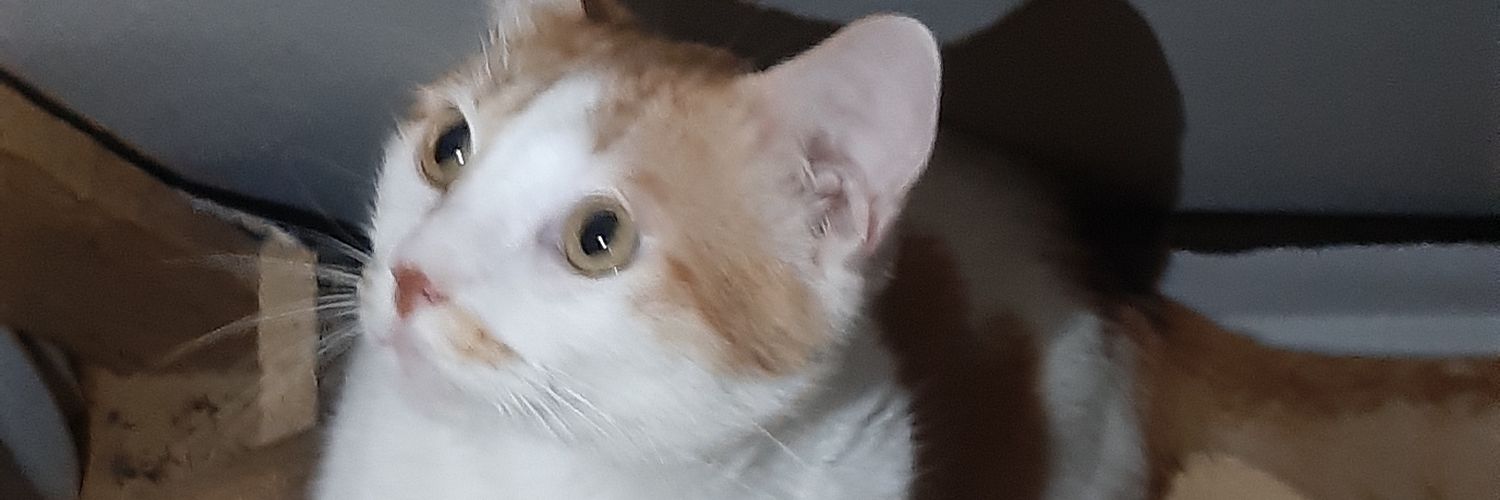 mayavila336's profile banner image