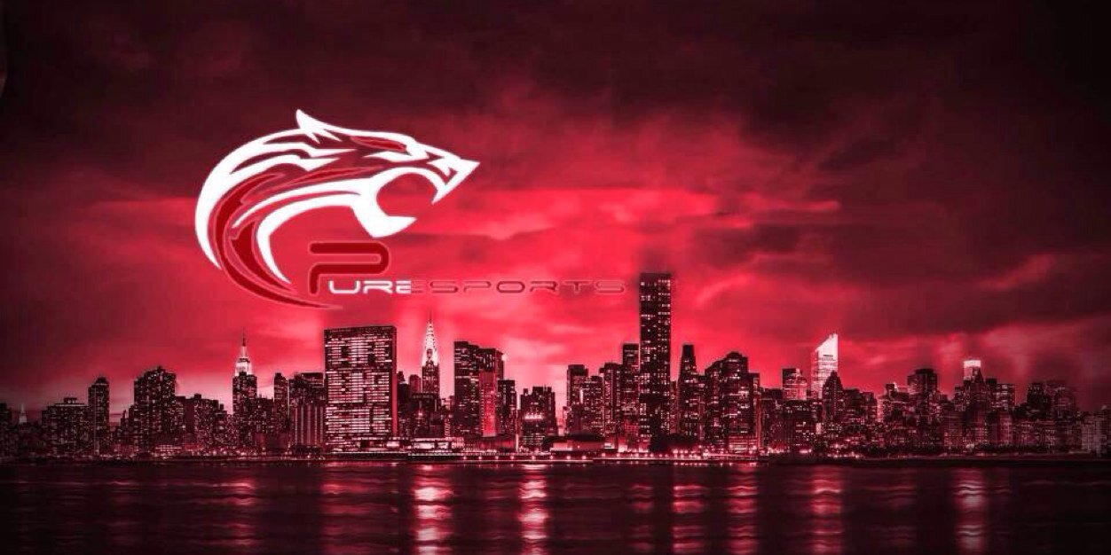 Pure_Stability's profile banner image