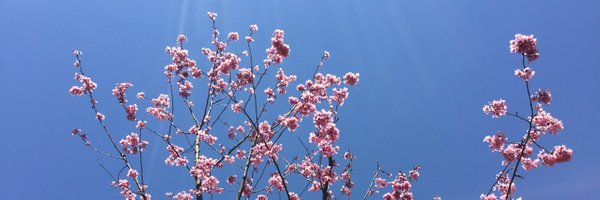 ray_garnet015 Profile Banner