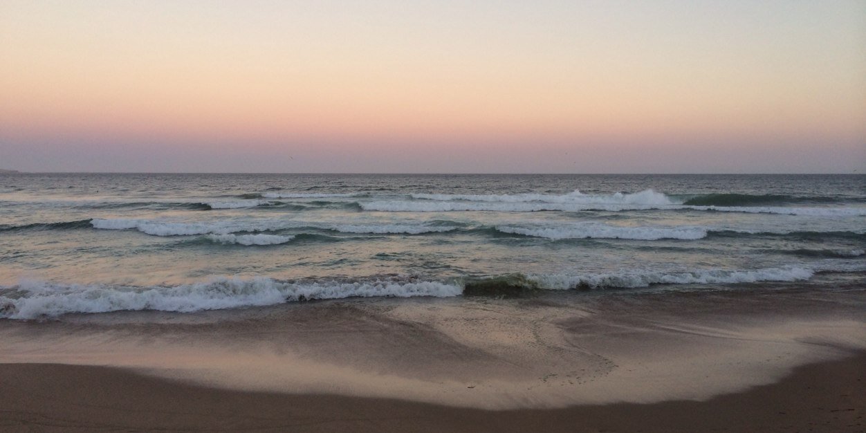 Shannon_TB's profile banner image