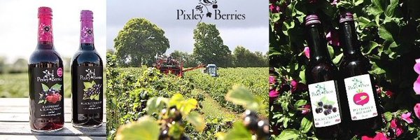 Pixley Berries Profile Banner