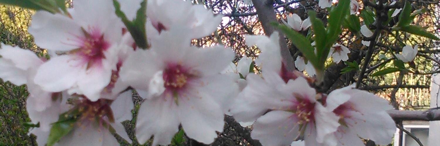 Carmela de Pablo  banner