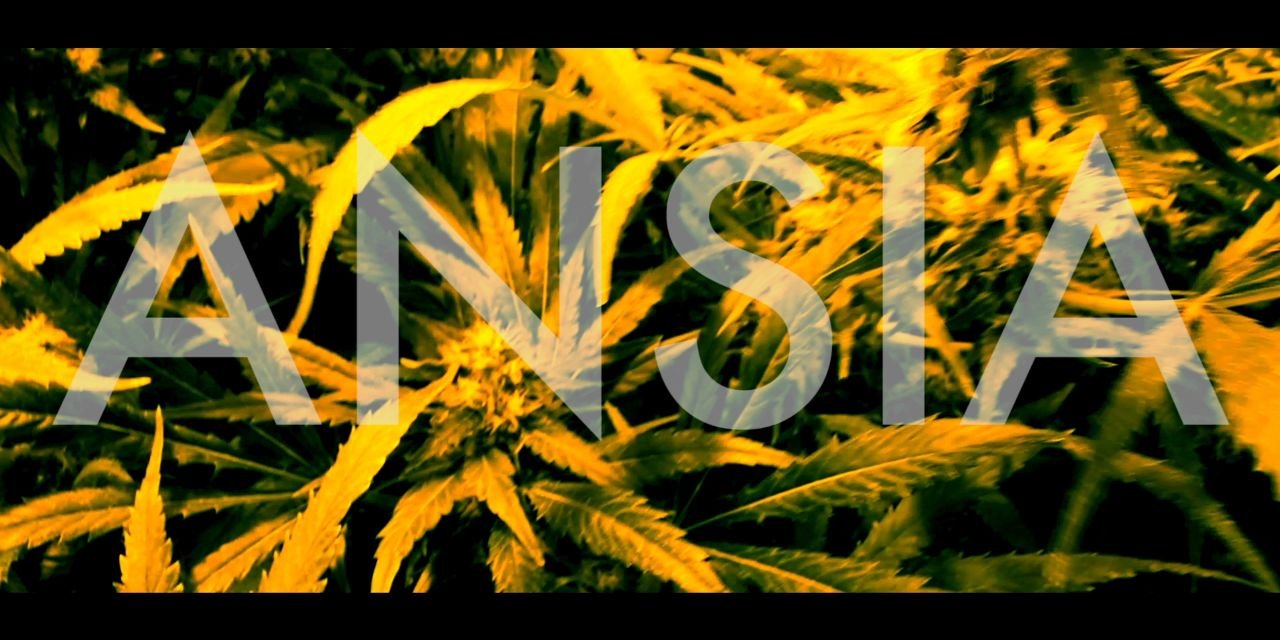 Jeremy_Melchor's profile banner image