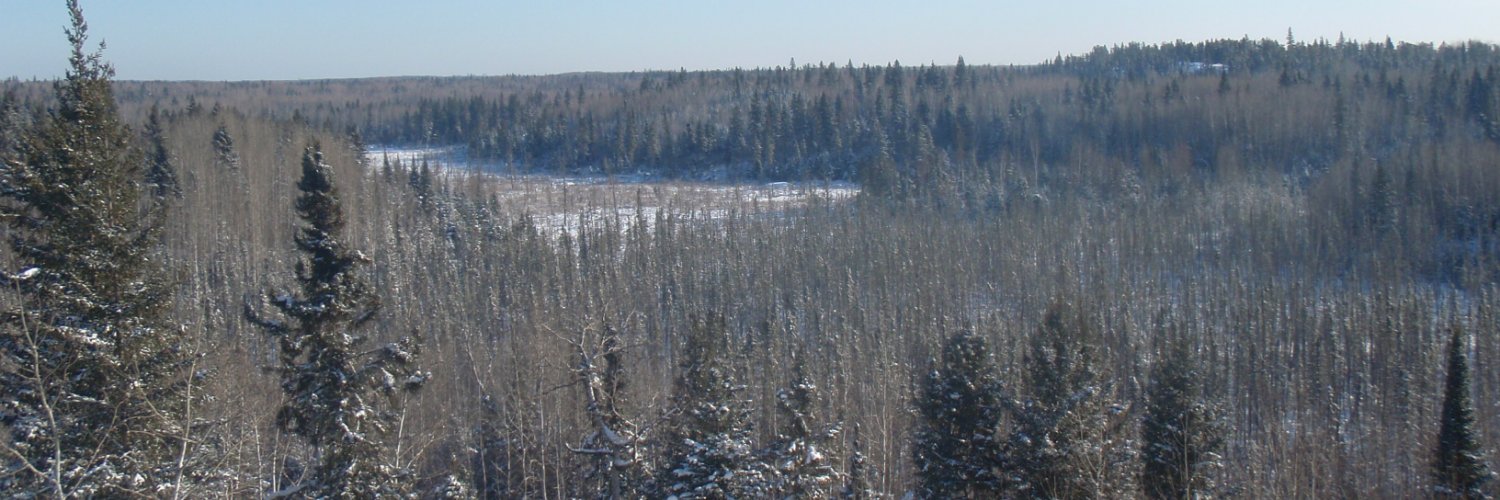 dWok_quail's profile banner image
