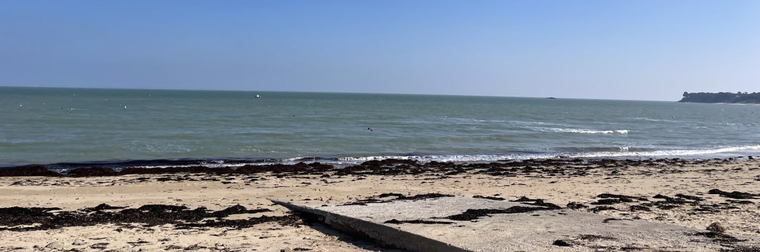 Kirsten Isensee banner