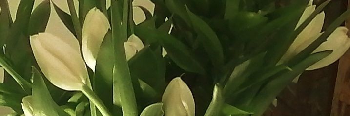 BonjourMissLie's profile banner image