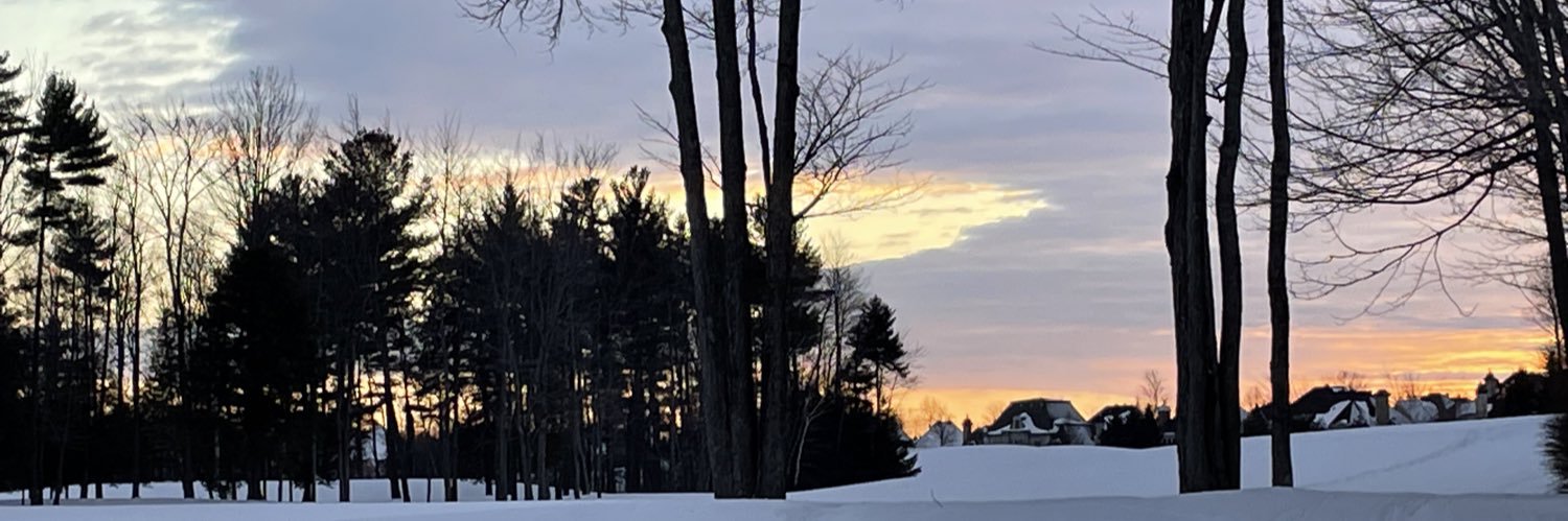 marclevesque2's profile banner image