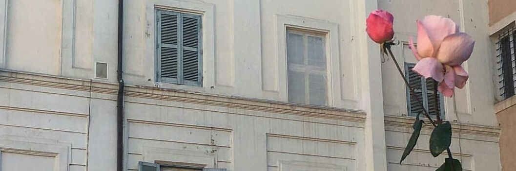 aiiuil's profile banner image
