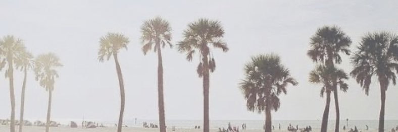 brittanyrtess's profile banner image