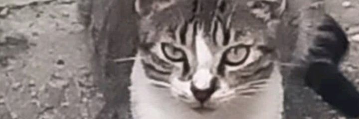 ADebuett's profile banner image
