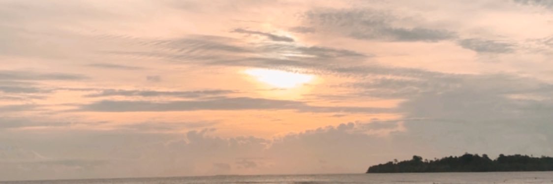 viramiranda's profile banner image