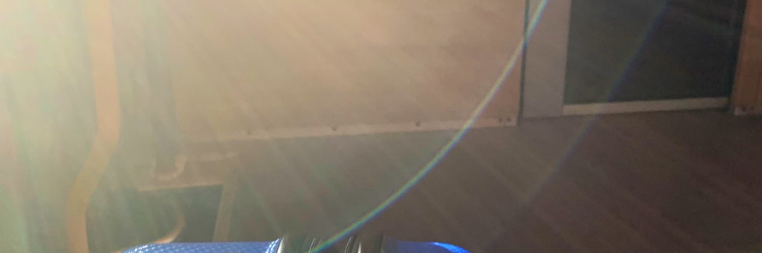 BarbaravanBaarsel banner