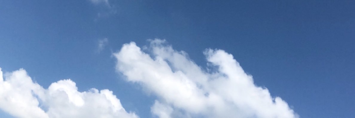 EY banner