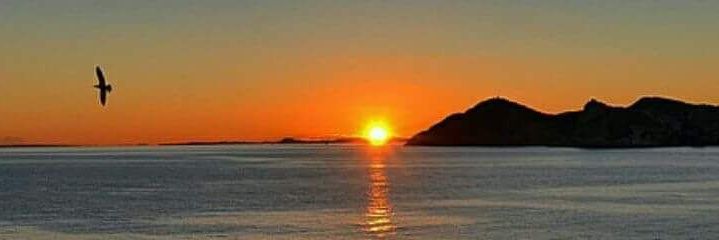 andrealandi63's profile banner image