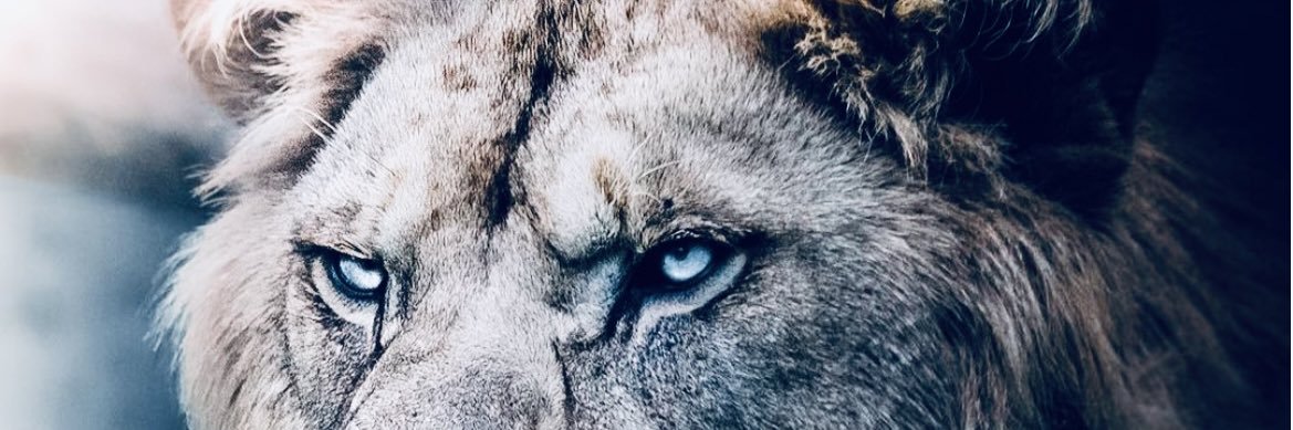 4KlNG's profile banner image