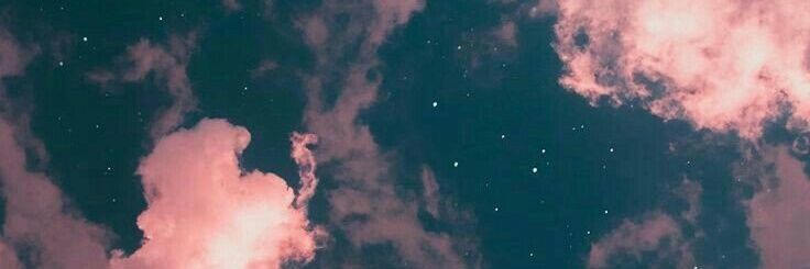 sylviarosalina's profile banner image