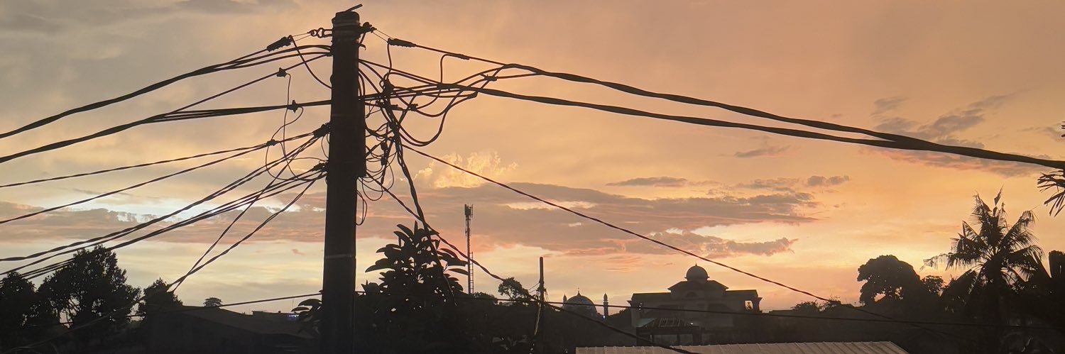 dinoaus's profile banner image