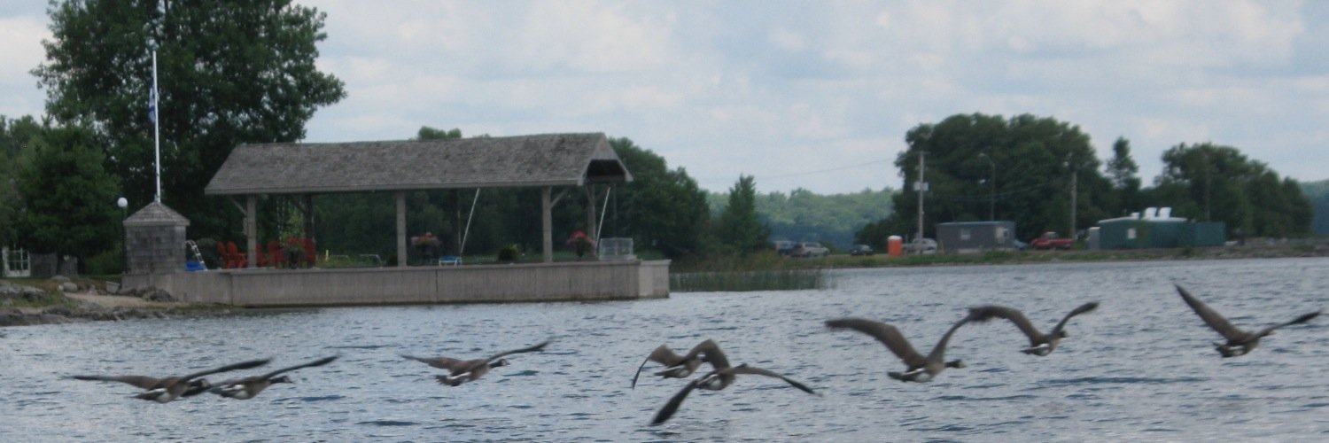 Mrs. Bednarik banner