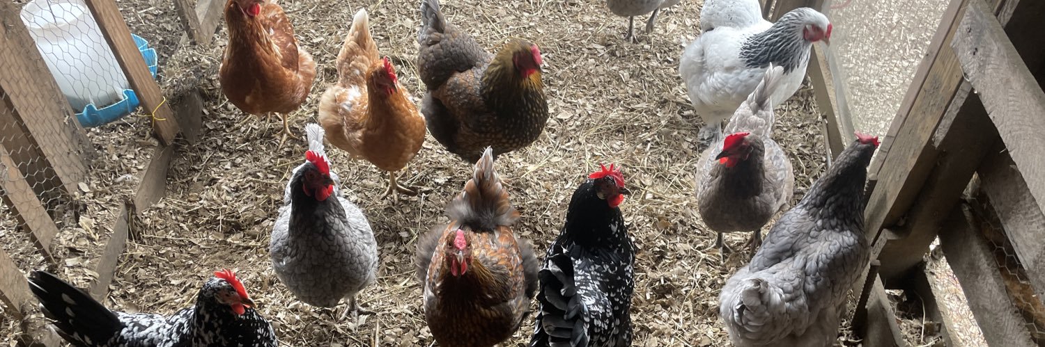 BetterDays13🇺🇸 banner