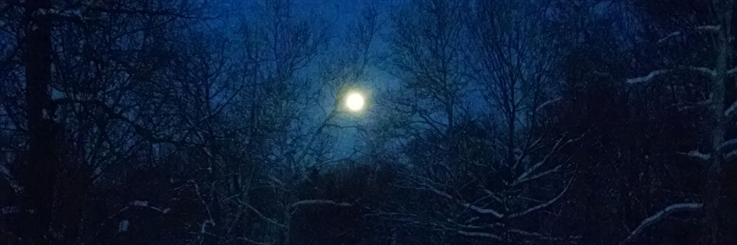 Colleen Becker banner