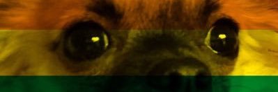 DerDecal's profile banner image