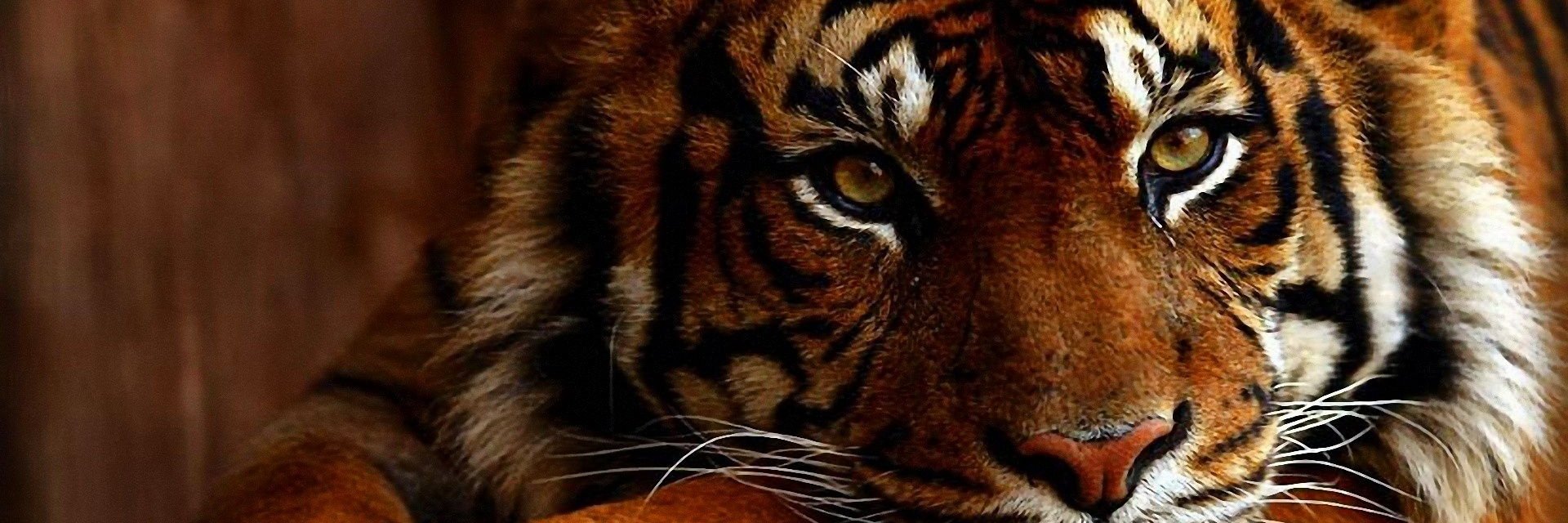 fizzydrinker's profile banner image