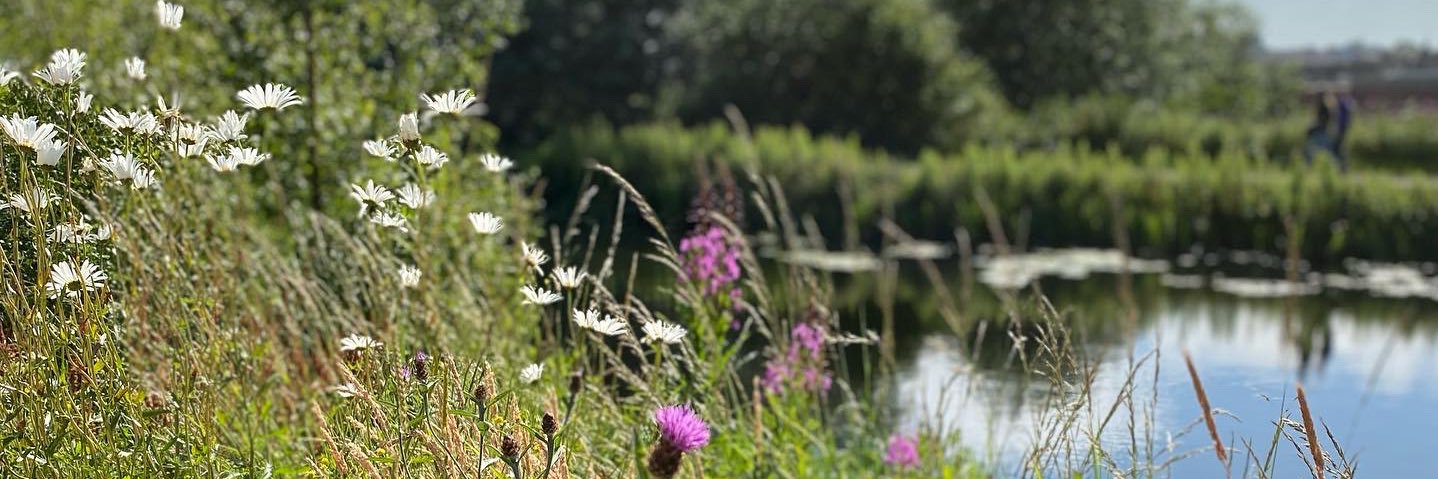 Rosamund Coyle-Bennett banner