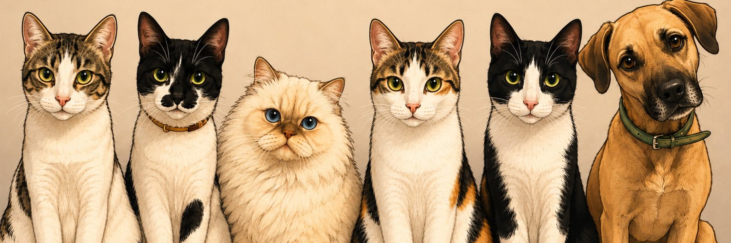 limomurphy's profile banner image