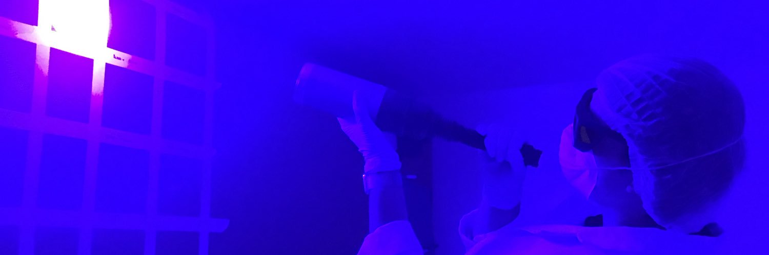 Kayleigh Sheppard banner
