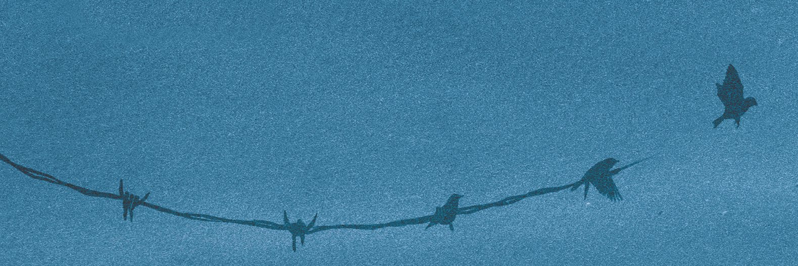 ZanaFraillon's profile banner image