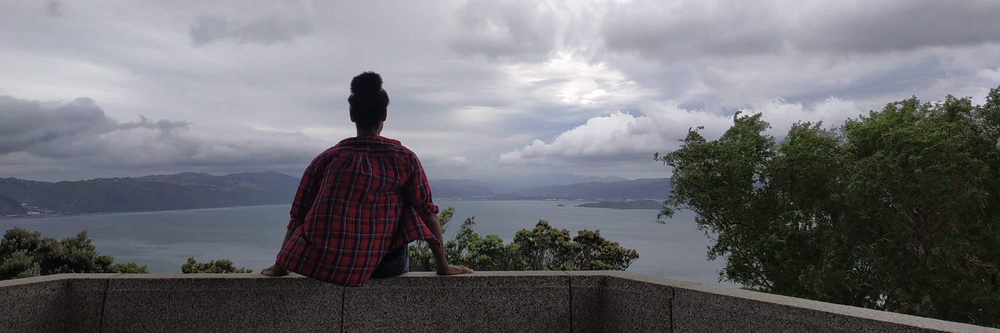 MiloKnowsBest's profile banner image