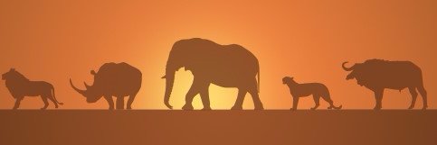 Leoarchy's profile banner image