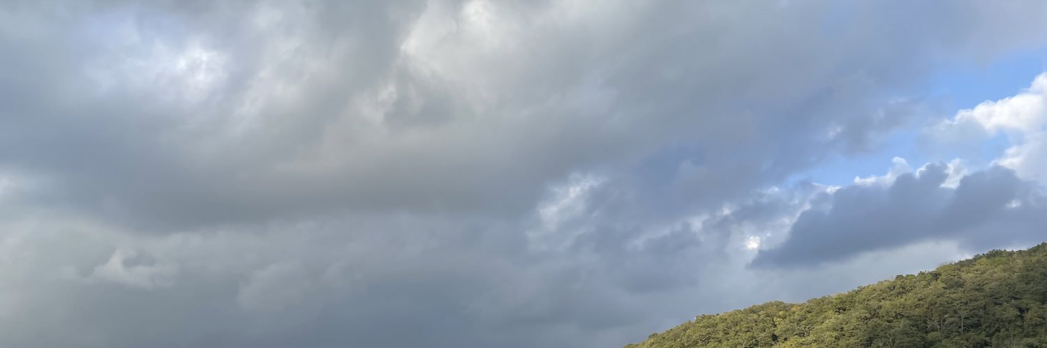 infosavvycs's profile banner image