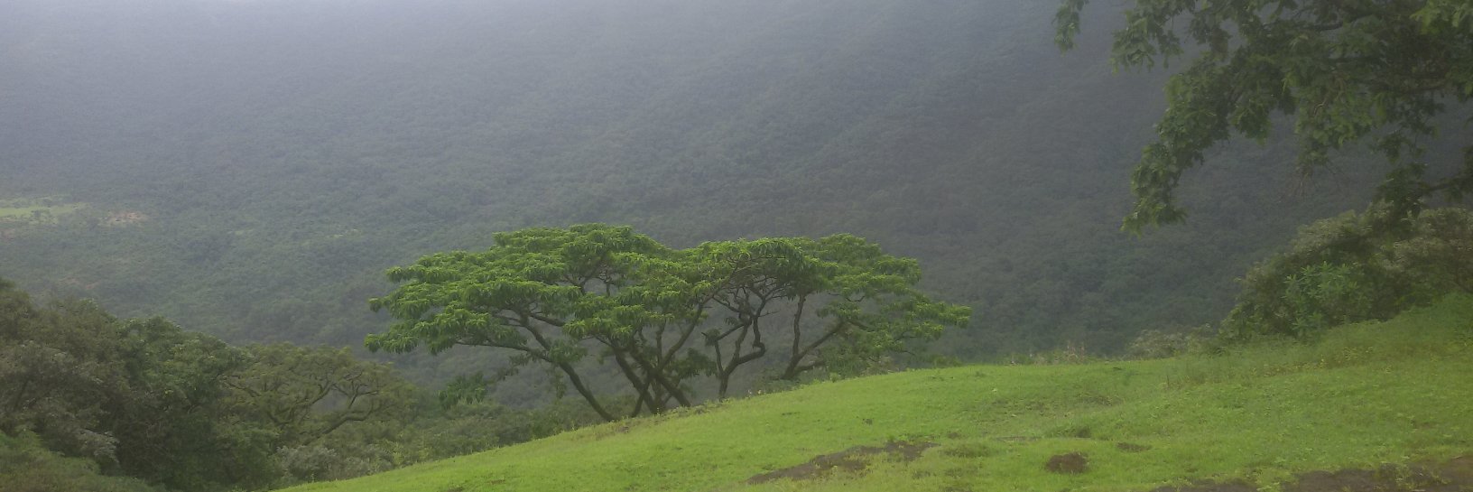 Paras_Khandare's profile banner image