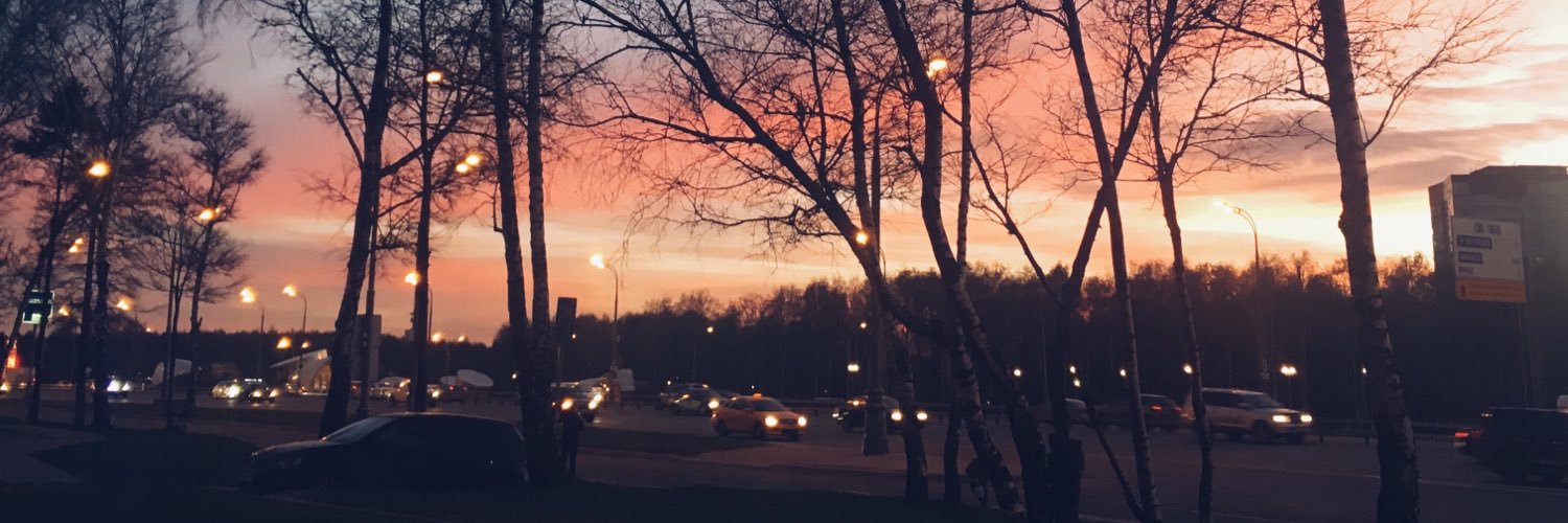 STanya98's profile banner image