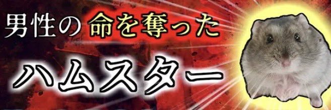 ___kakuni's profile banner image