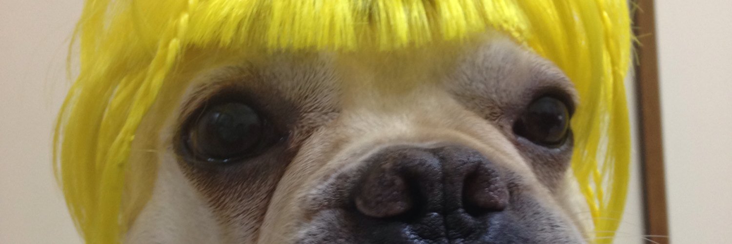 BooBooBooBooJJ's profile banner image