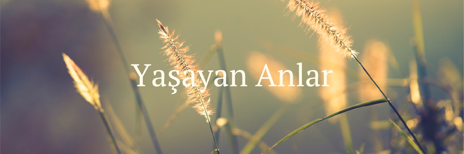 dekaryapi's profile banner image