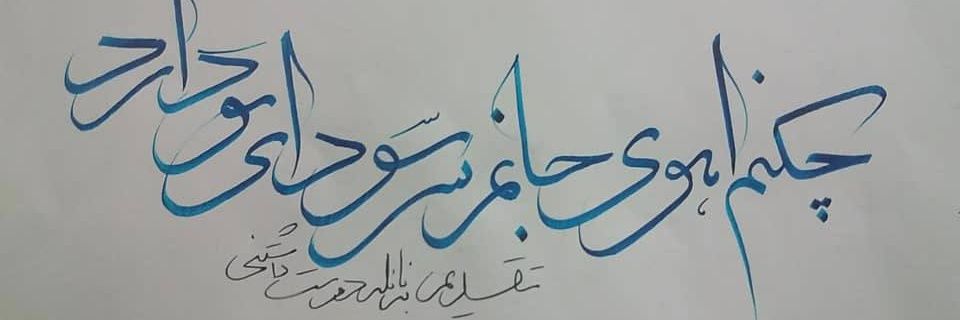 naele banner