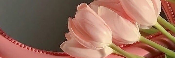 dey⋆୨♡୧⋆ ̊ ⋆ banner