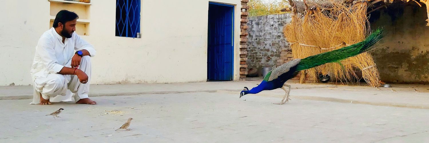 dileep_doshi's profile banner image