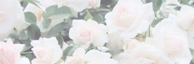 love_____cute's profile banner image